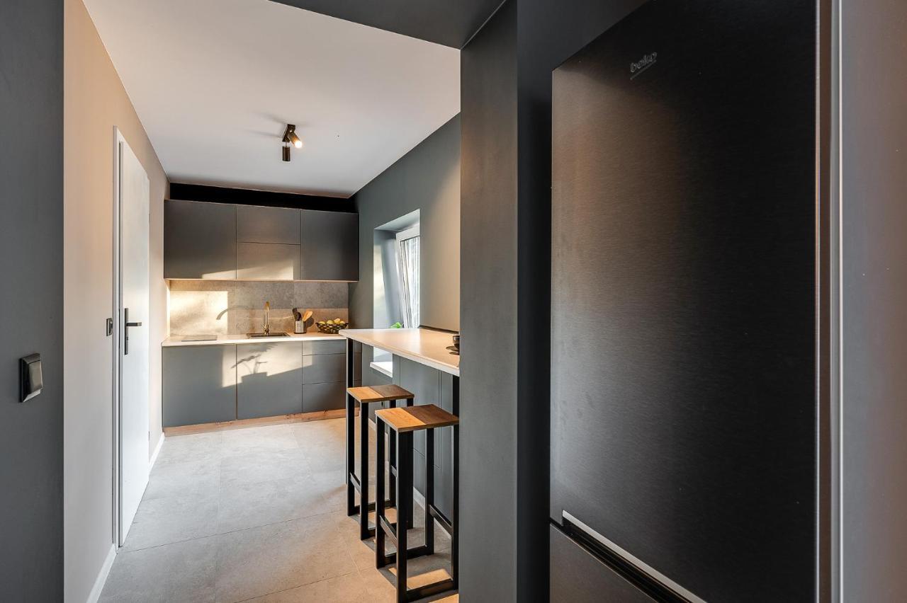 Loft House Apartment Studio Z Ogrodkiem 3 Rybnik  Exterior foto